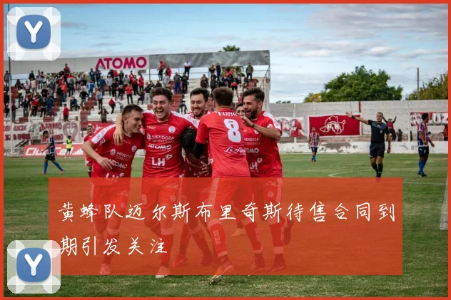 黄蜂队迈尔斯布里奇斯待售合同到期引发关注