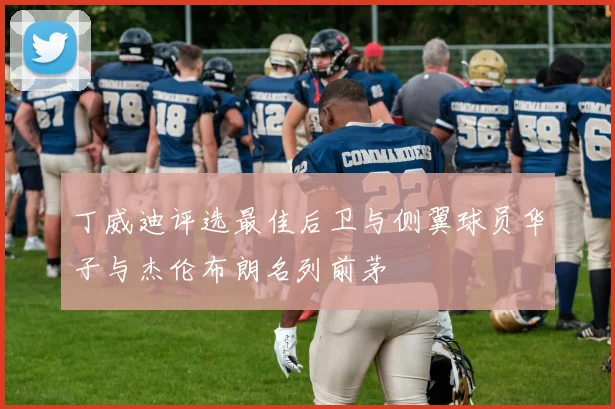 丁威迪评选最佳后卫与侧翼球员华子与杰伦布朗名列前茅